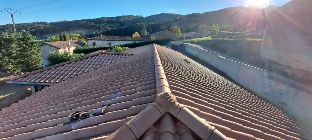 pose tuile modele omega 10